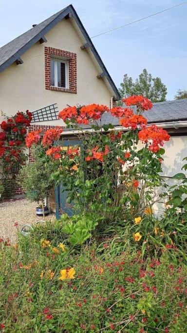 Villa Nenette Vue Mer Location A La Semaine Veulettes-sur-Mer Exterior foto